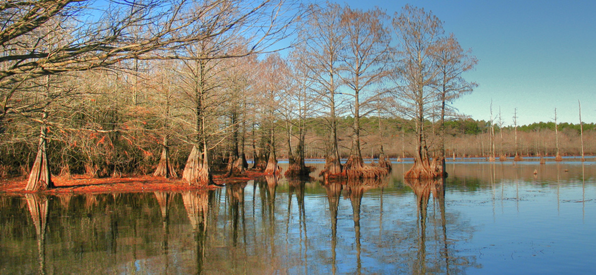 Upper Ouachita National Wildlife Refuge Tour Union Parish