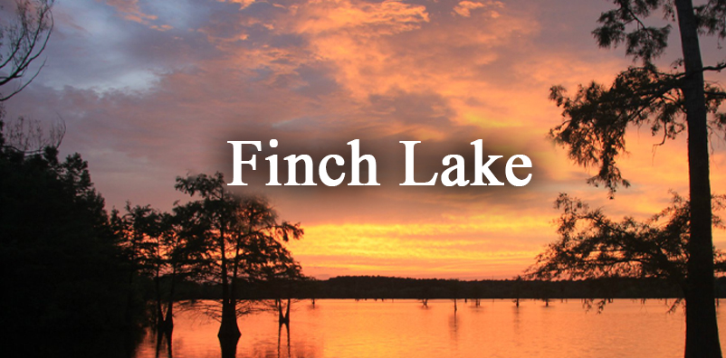 Finch Lake Story Art