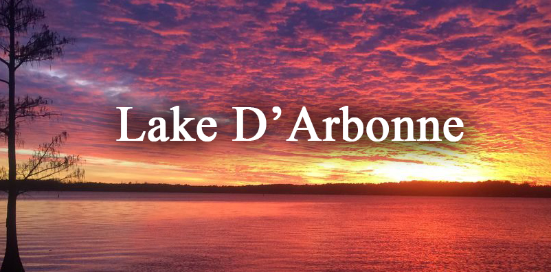 Lake D'Arbonne Story Art