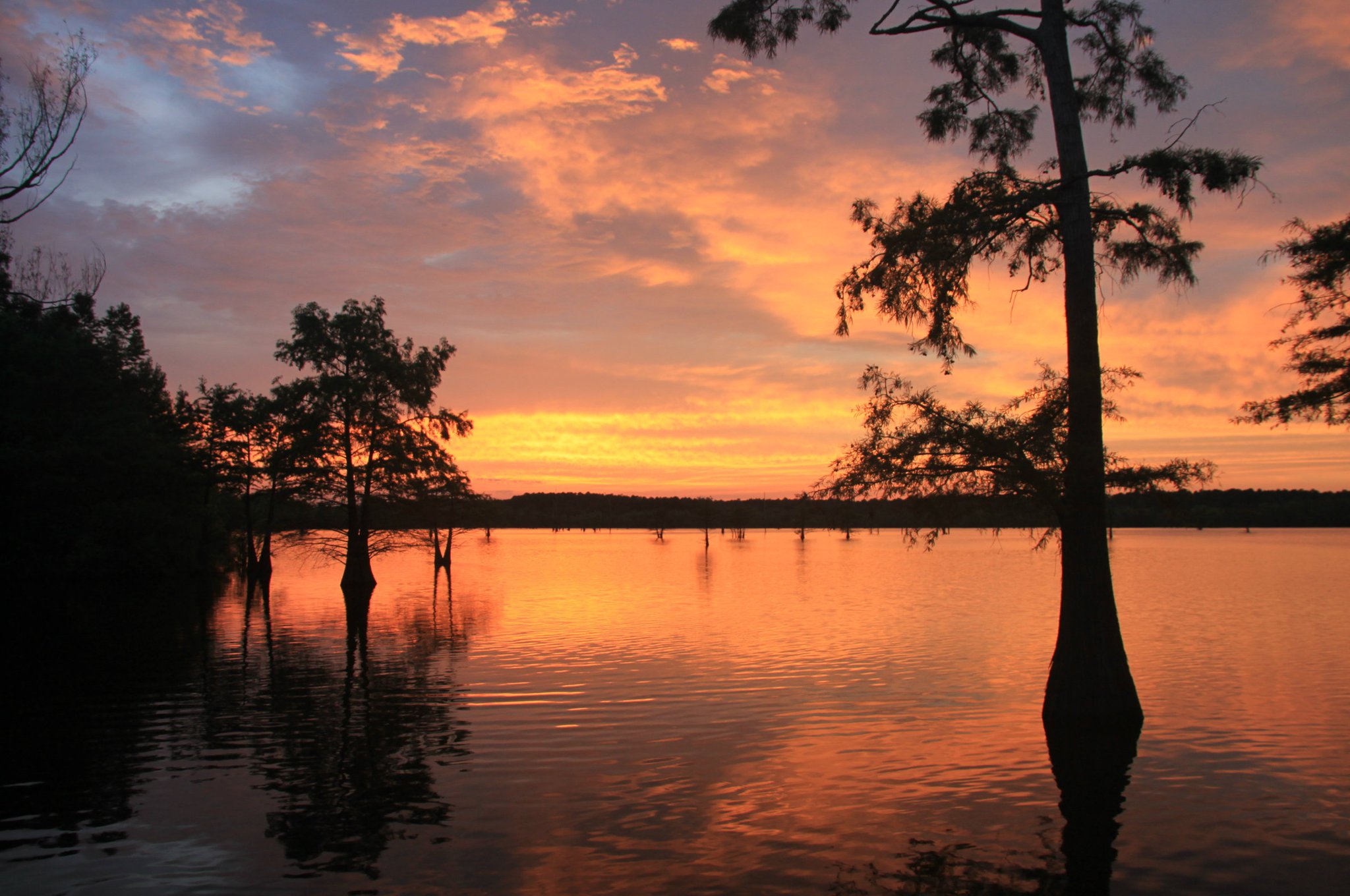 Finch Lake is worth finding - Tour Union Parish